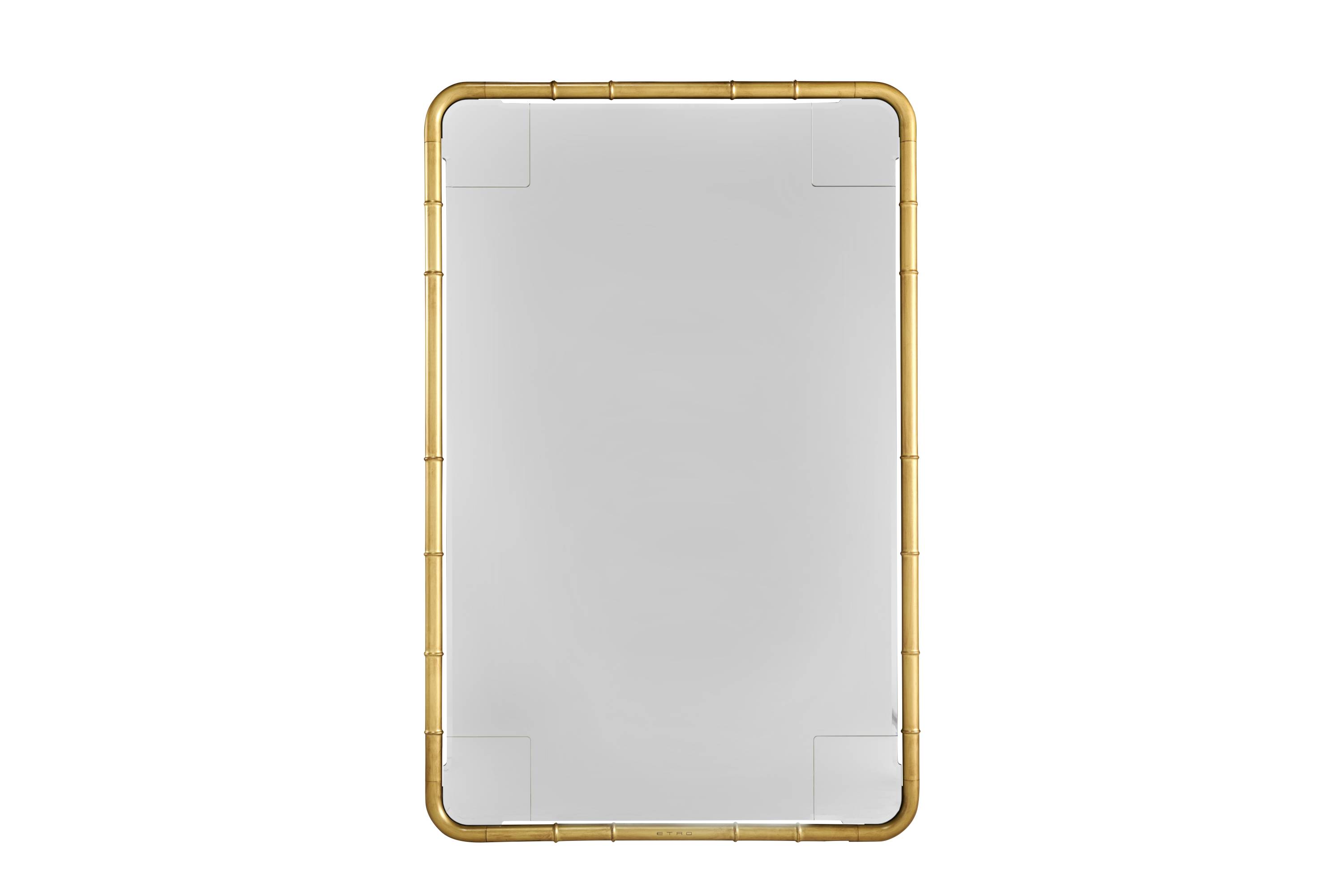 EHI_DELFI_mirror_T.DELMI04IMREA_2025_01.jpg