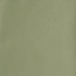 EHI_LEATHERS_SMOOTH_Col.-3-OLIVE-GREEN.jpg