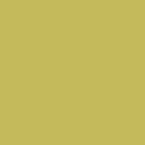 EHI_METAL_LIME-LACQUERED.jpg
